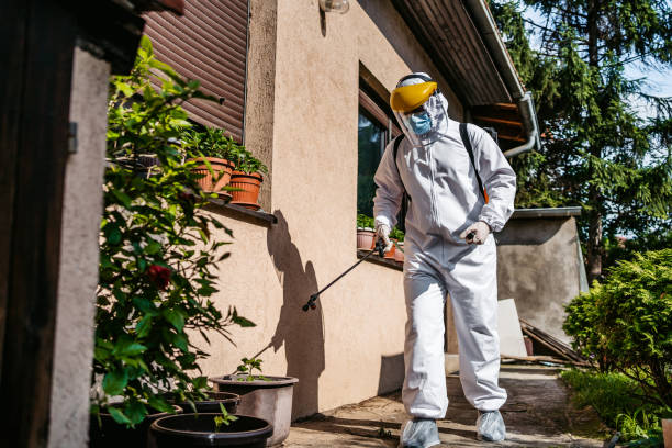 Best Mosquito Control Services  in Cedarville, OH