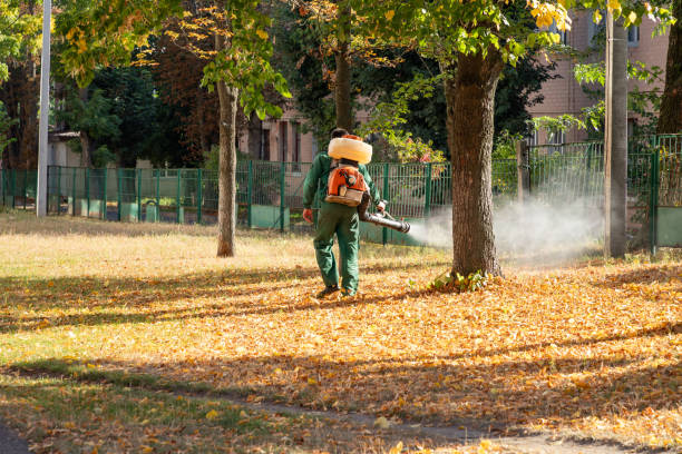 Best Insect Control  in Cedarville, OH